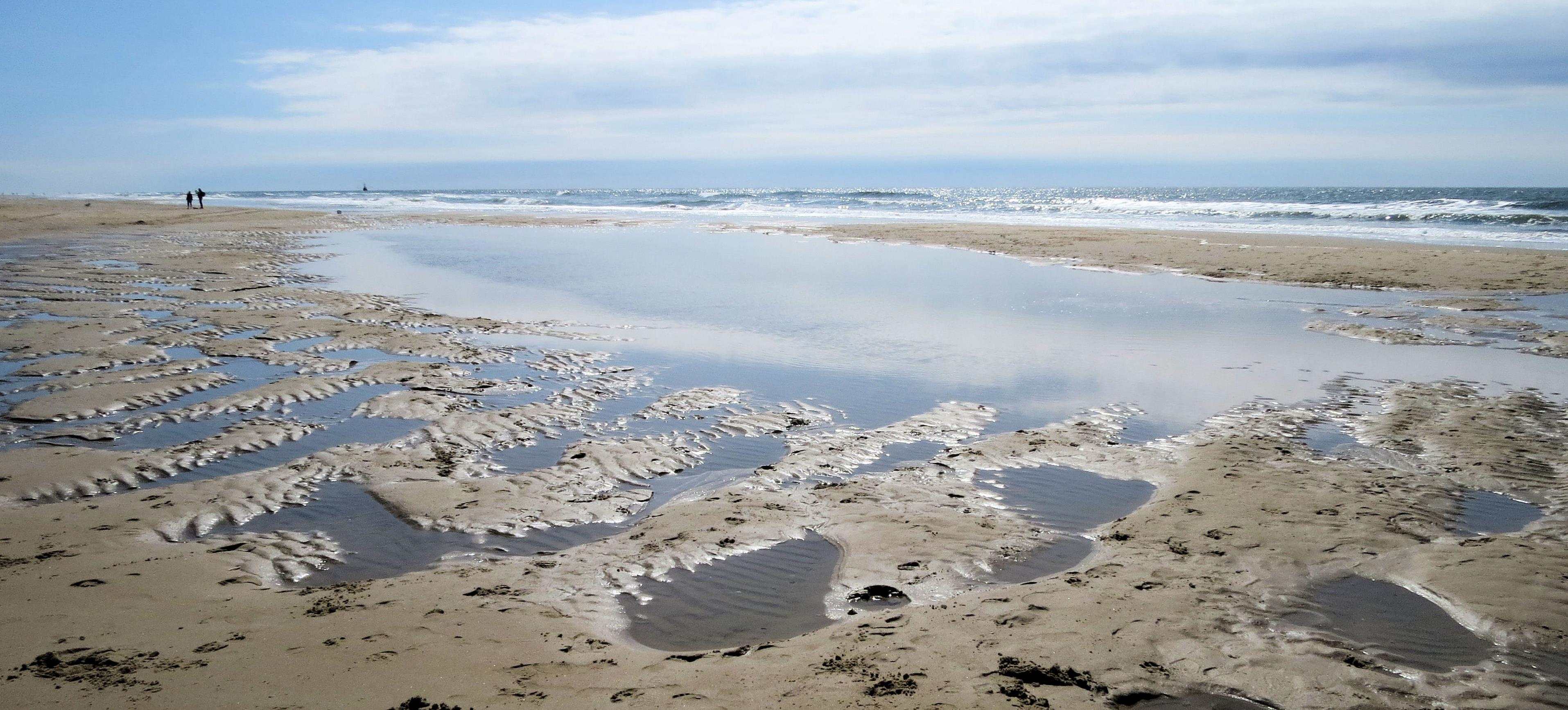 Texel - Foto: nst