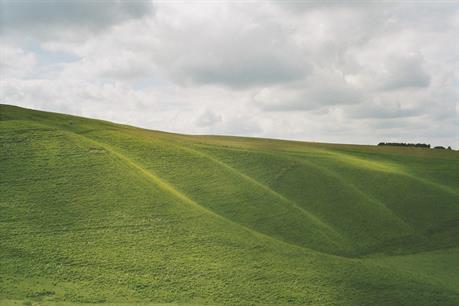 White Horse, England 03