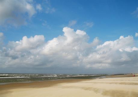 Texel 08