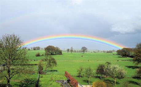 Regenbogen